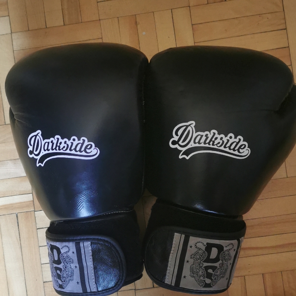 Darkside 16oz Boxing Gloves